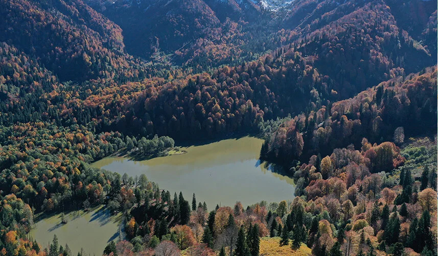 Trabzon Artvin Arası Kaç Km, kaç saat? Trabzon Artvin otobüs bileti