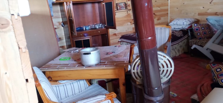 Artvin'de aç kalan ayılar yayla evlerini talan etti