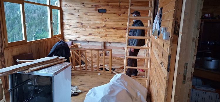 Artvin'de aç kalan ayılar yayla evlerini talan etti