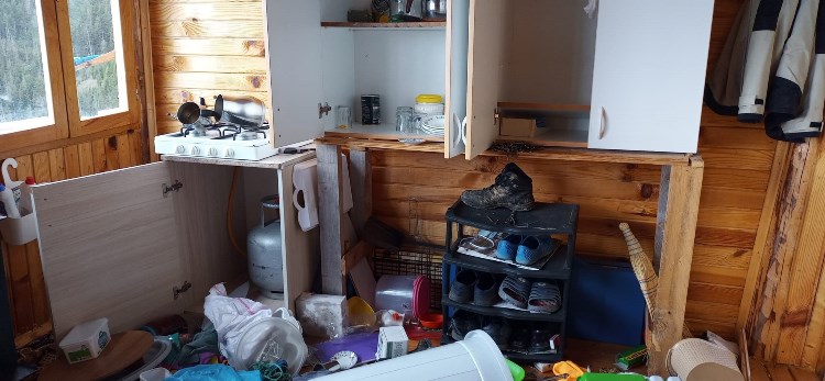 Artvin'de aç kalan ayılar yayla evlerini talan etti