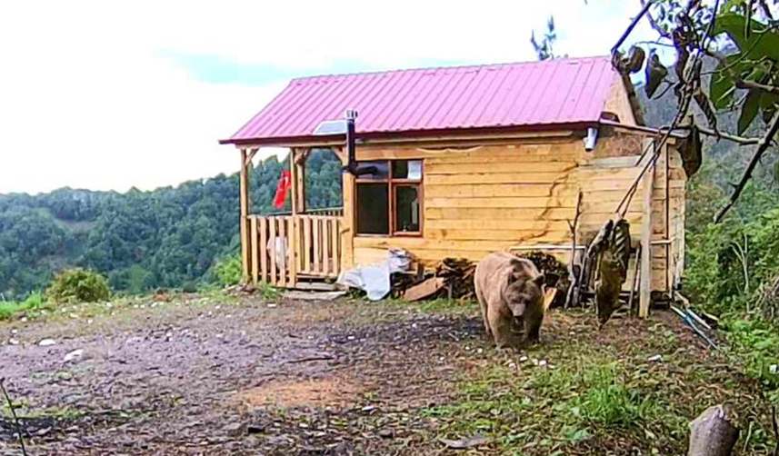 Artvin'de ev kapısının zorlanmasını hırsız işi zannetti! Gerçek bambaşka çıktı