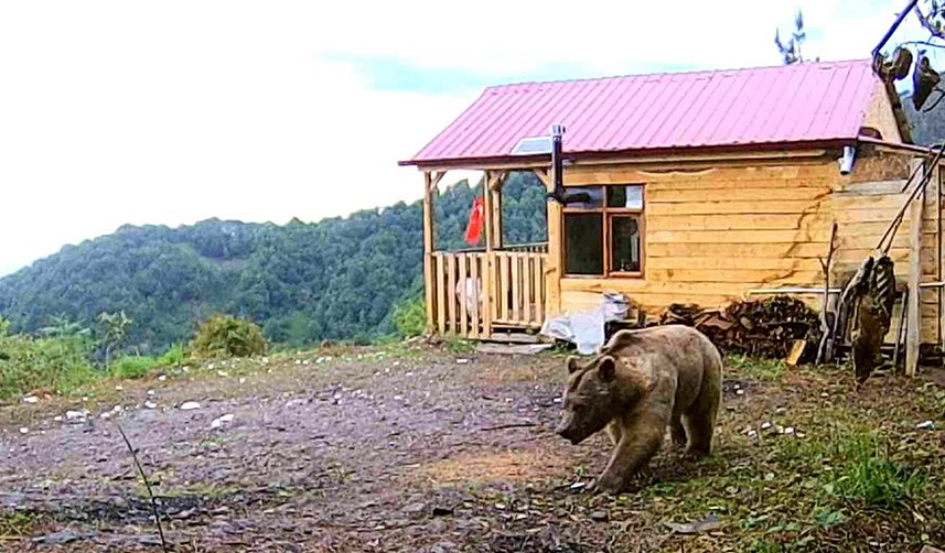 Artvin'de ev kapısının zorlanmasını hırsız işi zannetti! Gerçek bambaşka çıktı