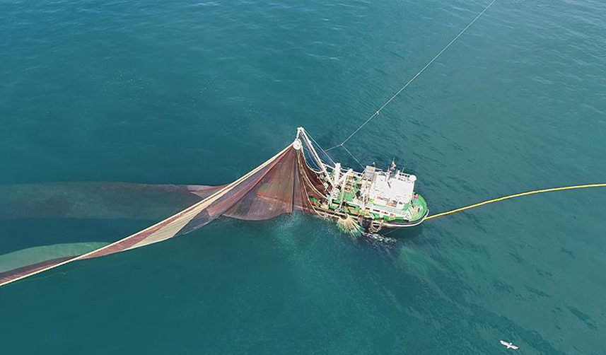 Prof. Dr. Osman Bektaş açıkladı! "Karadeniz'in akıbeti meçhule doğru gidiyor"