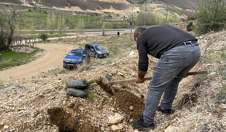 Bayburt'ta fidan dikme şartıyla ceza almaktan kurtuldu