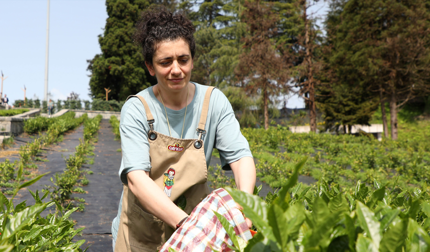 çaykur 28 mayıs kararı 1
