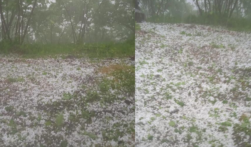 giresun dolu etkili oldu1