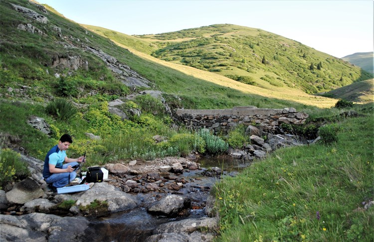 Doğu Karadeniz'de özel araştırma! Kafkas Semenderi neden ölüyor?
