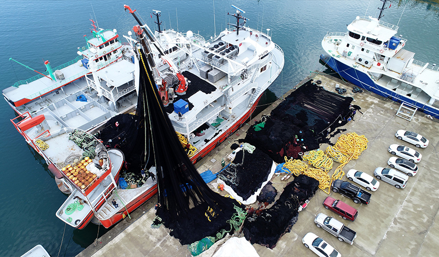 Prof. Dr. Osman Bektaş açıkladı! "Karadeniz'in akıbeti meçhule doğru gidiyor"