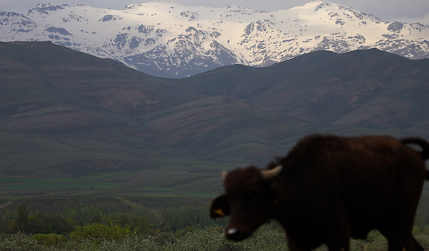 MAYIS SONUNDA KAR BAYBURT 1