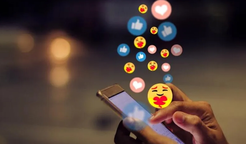 sarıkalpneanlamagelir