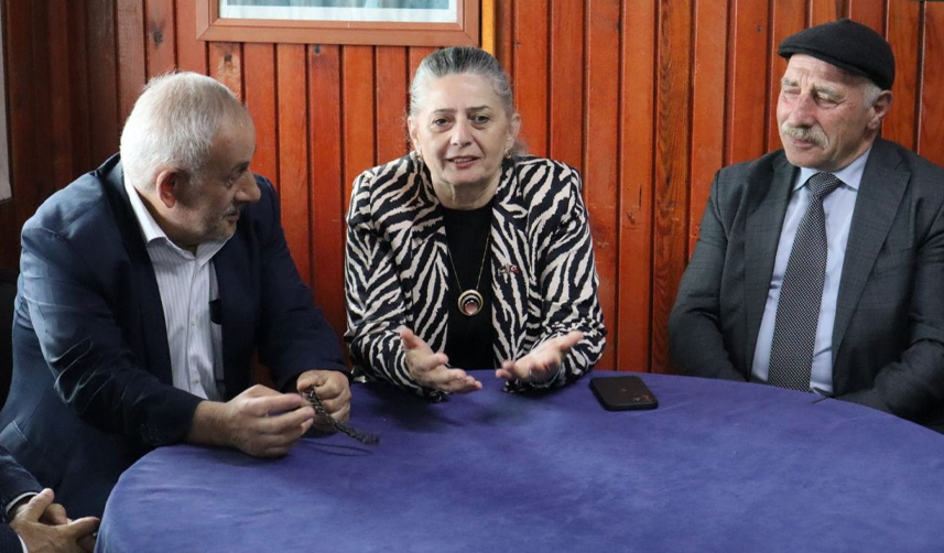 CHP Trabzon Milletvekili adayı Sibel Suiçmez: "Projemiz ortak akıl"