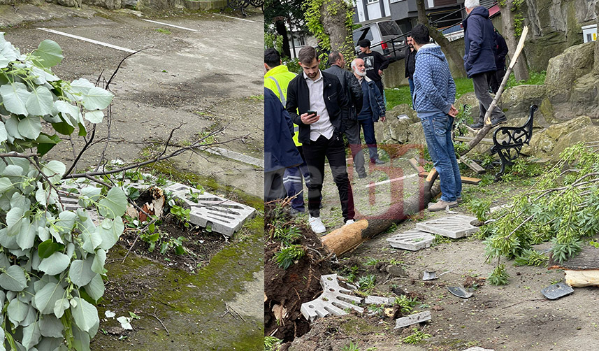 Trabzon'da araç takla attı! 4 yaralı