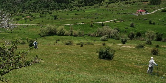 ekirge-istilasi-yasanan-koyde-ilaclama-1.jpg