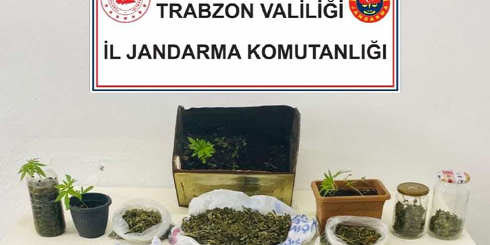 Trabzon'da jandarma timlerinden çifte operasyon