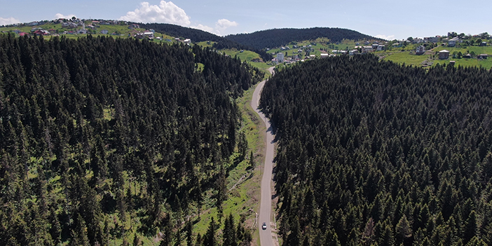 Trabzon'da güneşli havayı fırsat bilip yaylaları şenlendirdiler