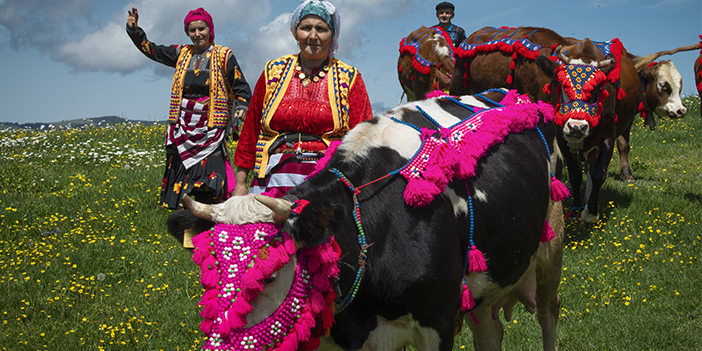 Karadeniz'de yaylacıların sezonu açıldı! Yolculuklar başladı