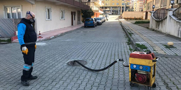 Büyükşehir vektörle mücadelede yaza hazır!