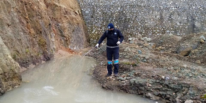 Büyükşehir vektörle mücadelede yaza hazır! 