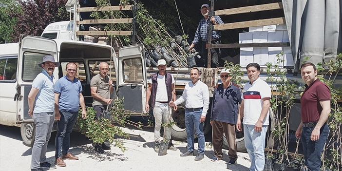 Çorum'da Trabzon hurması fidanı dağıtıldı