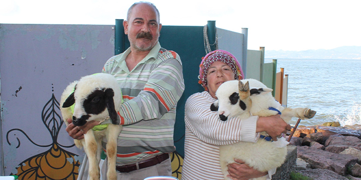 Ordu'da evin baktığı "Çilek" ve "Mazlum"u yanından bir an olsun ayırmıyor
