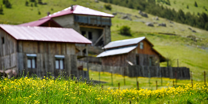  Gümüşhane'nin Altınpınar Gölü'ne ziyaretçi akını