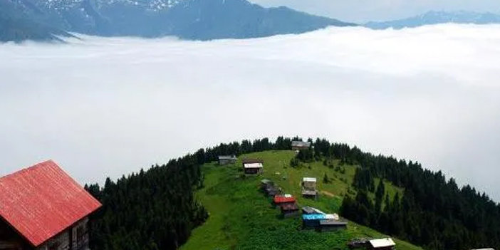 Pokut yaylası nerededir? Pokut yaylasına nasıl gidilir? 