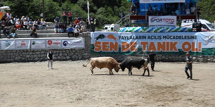 Rize'de kültür sanat ve doğa festivali yapıldı