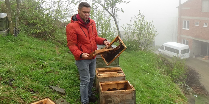 Trabzon’un o ilçesinde ayı kabusu sürüyor