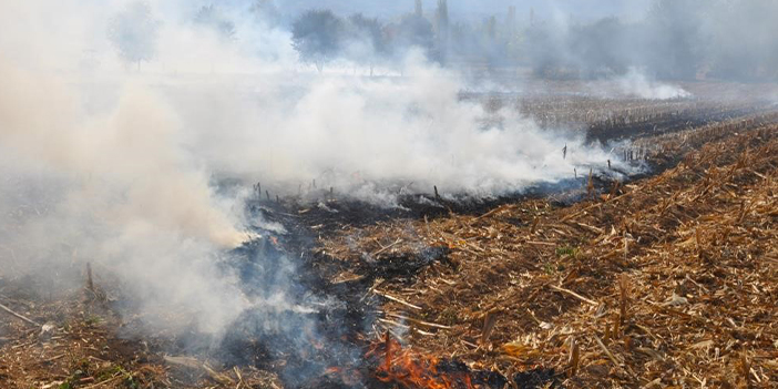 Anız yangınlarına dikkat! Uzmanlar uyardı