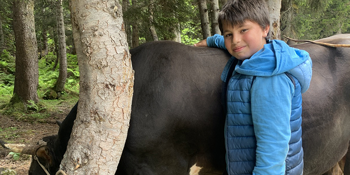 Rize'de 11 yaşındaki çocuk 630 kiloluk boğası ile güreşe katıldı 