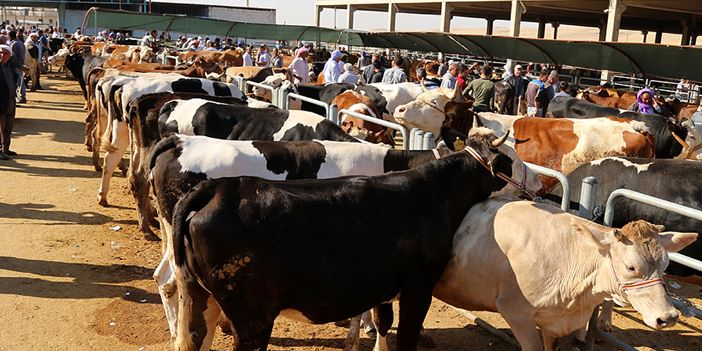 Gece kurban kesilir mi? O soruya cevap geldi!