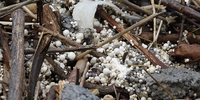 Trabzon'da olumsuz hava şartları sonrası sahiller çöple doldu