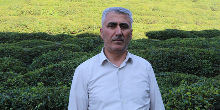 Birinci sürgünde çay üreticisinin tercihi özel sektör firmaları oldu