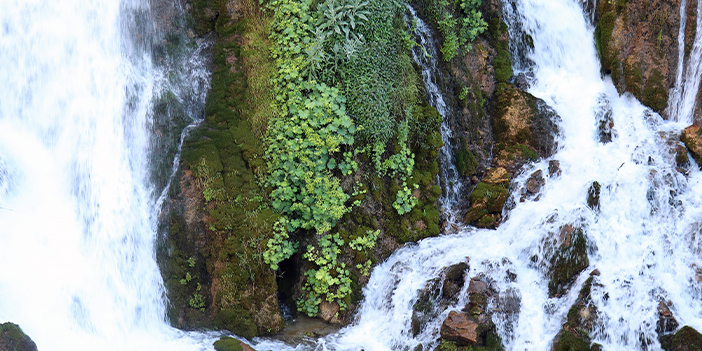 Sıcaktan kaçan soluğu Tomara Şelalesinde alıyor