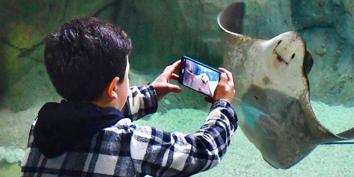 Başkan Genç açıkladı! Trabzon Akvaryum'u kaç kişi ziyaret etti?
