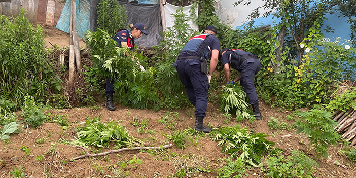 Trabzon’da drone destekli narkotik operasyonu