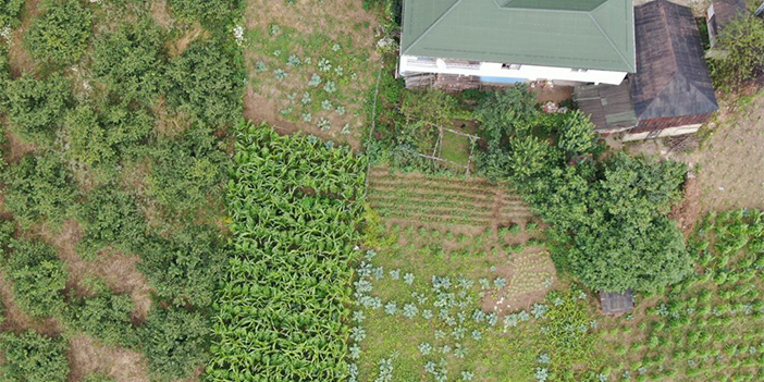 Trabzon’da drone destekli narkotik operasyonu