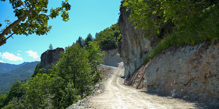 Trabzon'da felçli eşini sırtında taşıyan kadının sesi duyuldu
