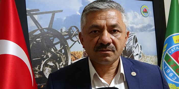 Başkan Soydan'dan fındık rekoltesi açıklaması "717 bin ton"