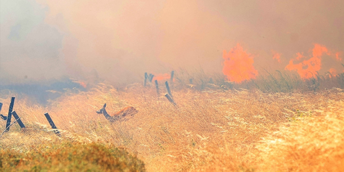 Çanakkale'de alevler büyüdü! Köyler teker teker boşaltılıyor 