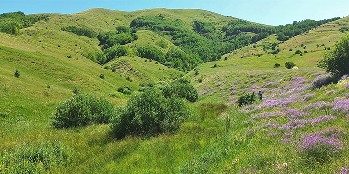 Bayburt'taki petrol sızıntıları incelendi! Çarpıcı sonuç