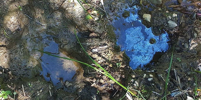 Bayburt'taki petrol sızıntıları incelendi! Çarpıcı sonuç