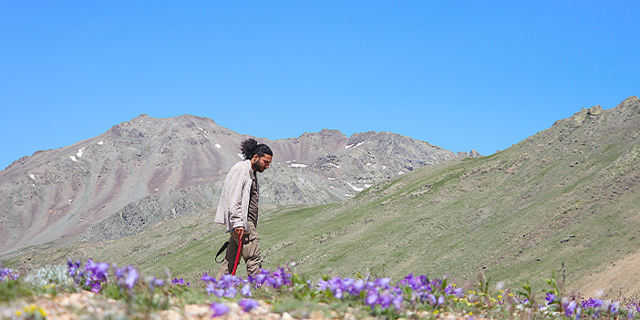 Bayburt'un zirvelerinde endemik bitkilerin izini sürüyor