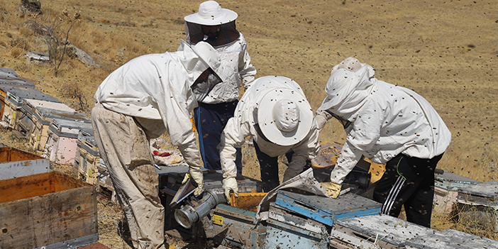 Bayburt'ta arıcılar hasat için bekliyor