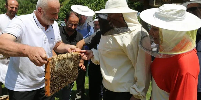 İngiltere'de düzenlenen yarışmanın "Altın Bal" ödülü Artvin'e gitti