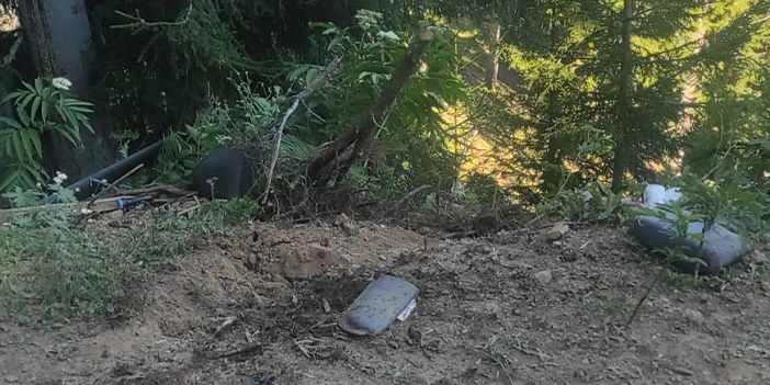 Artvin'de yamaçtan yuvarlanan ağaç kamyonete çarptı! 1 ölü, 1 yaralı