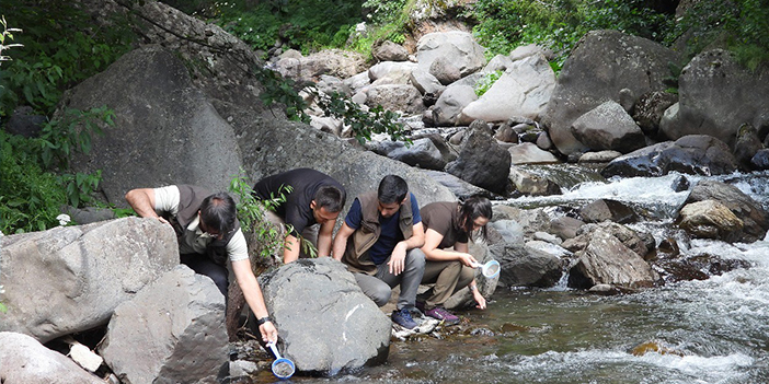 Artvin’de 60 bin adet yavru alabalık derelerle buluştu