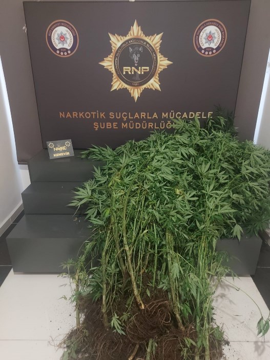 rizede-uyusturucu-operasyonu-002.jpg