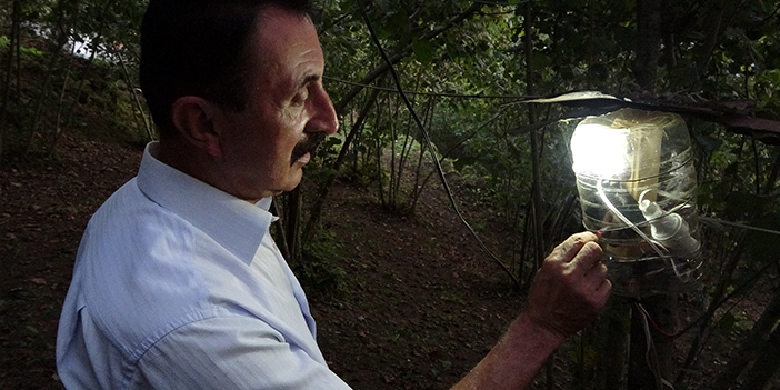 Ordu'da karadeniz zekası hayrete düşürdü! Bahçesine dadanan domuzlara böyle çözüm buldu 