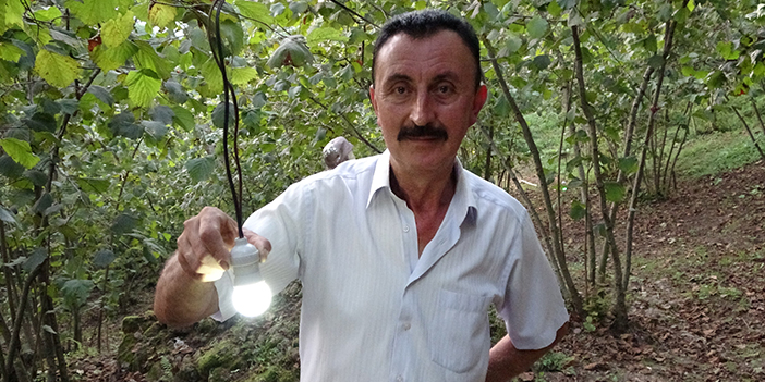Ordu'da karadeniz zekası hayrete düşürdü! Bahçesine dadanan domuzlara böyle çözüm buldu 